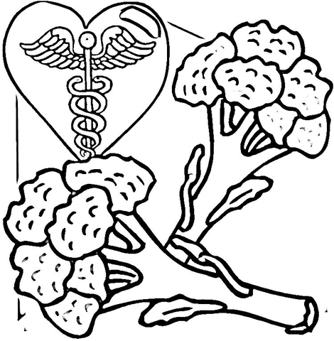 Broccoli Is Healthy Food  Coloring Page